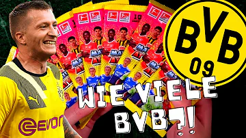 Wie viele Spieler hat der BVB?