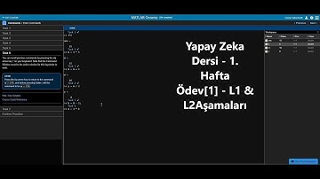 Osman Talha BİLİM - Yapay Zeka - 1.Hafta Ödev [1], L1 & L2 Matlab Onramp Komutlar, Değişkenler