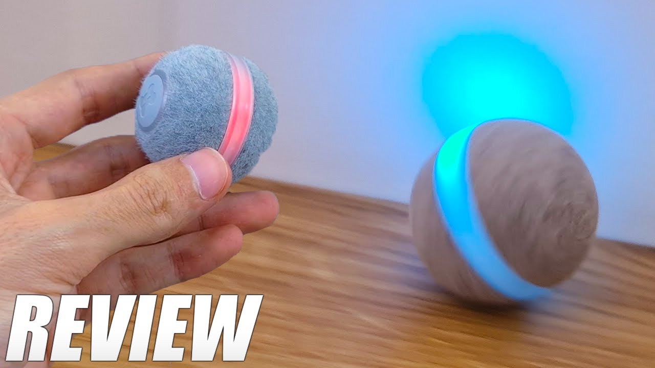 automatic ball for cats