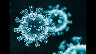 Virus Origins @barrylittleton6504