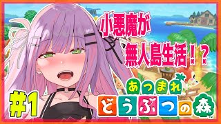 【あつまれどうぶつの森】小悪魔だから無人島で暮らす勉強をする！　#1【#常闇トワ/ホロライブ】
