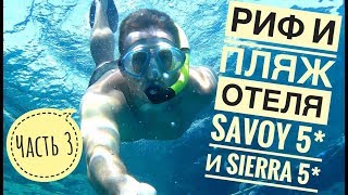 Самый лучший обзор пляжа Savoy 5* и Sierra 5*, обзор рифа,захода в море, бара и другое. Савой 5*