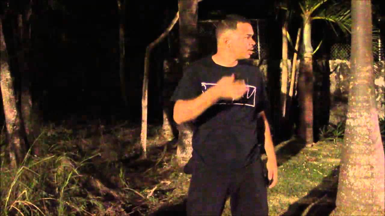 Bahamians in Horror Films Be Like: