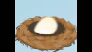 Magic Eggs  - Online Video Game