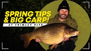 Spring Tips & BIG CARP! Dave Levy catches HUGE Frimley Pit carp! Mainline Baits Carp Fishing TV