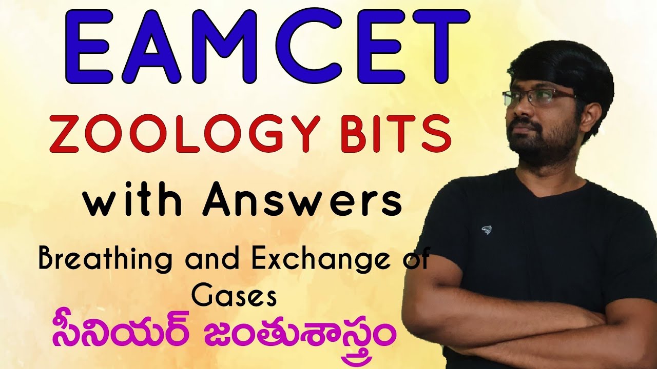Eamcet Zoology most important bits Breathing and Exchange of Gases