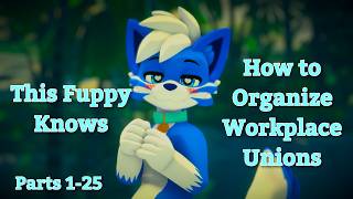 Union Organizing 101 Part 1 to 25