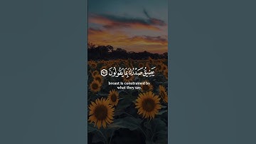 محمد هشام سورة الحجر اجمل حالات واتس اب دينية 🎧😌