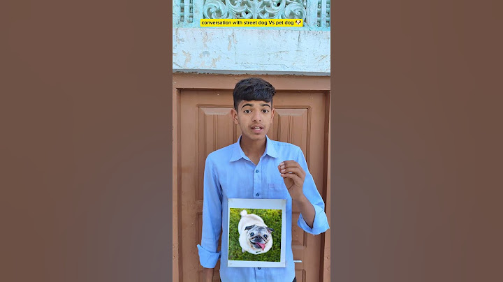 conversation with street dog Vs pet dog 🐶😂 #comedy #funny #pets