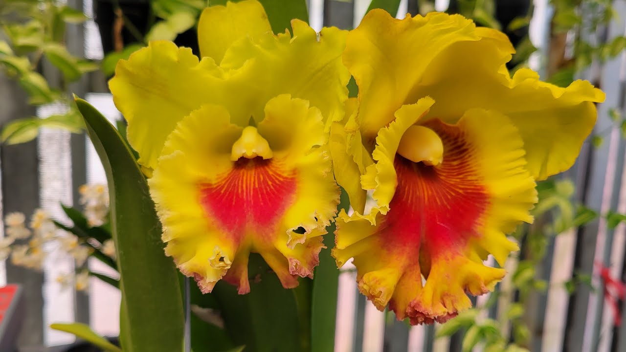 Hồi này Thần ám xuất hiện quanh em các bác ui