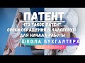 Что такое патент, сроки обращения в налоговую для начала работы ИП на ПСН