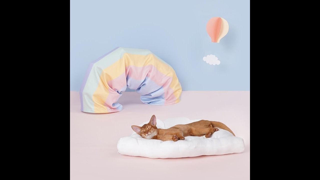 🐱😍Collapsible Removable Cat Tunnel Tube With Cat Bed 🐱😍
