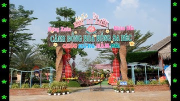 Sa Đéc #7.  Khu du lịch, Cánh Đồng Hoa, Sa Đéc, cùng tôi du lịch Việt Nam. 62-22645