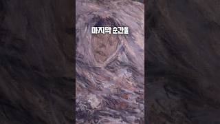 모네가 집안의 반대를 무릅쓰고 만난 찐사랑