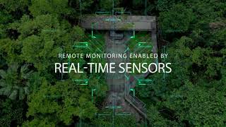 Remote Monitoring Enabled by Real-Time Sensors
