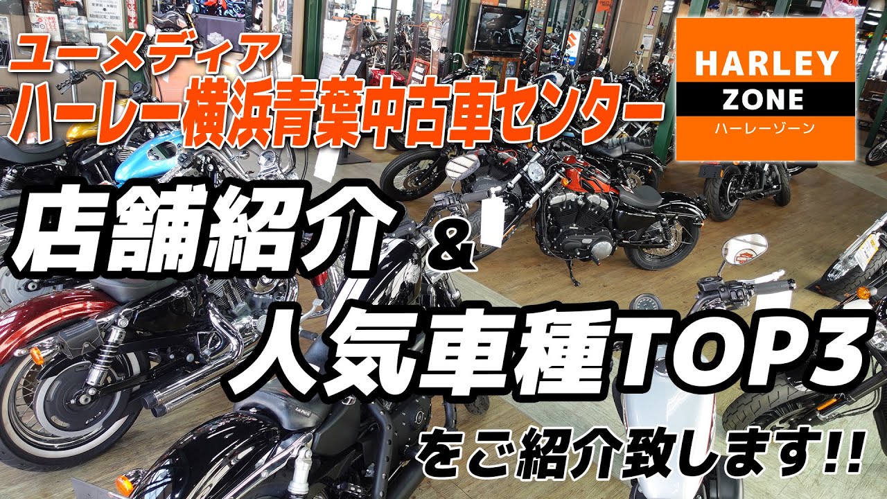 店舗紹介 人気車種紹介 ハーレー横浜青葉中古車センターの店舗 人気バイクtop3をご紹介致します Harley Davidson ハーレーダビッドソン Youtube