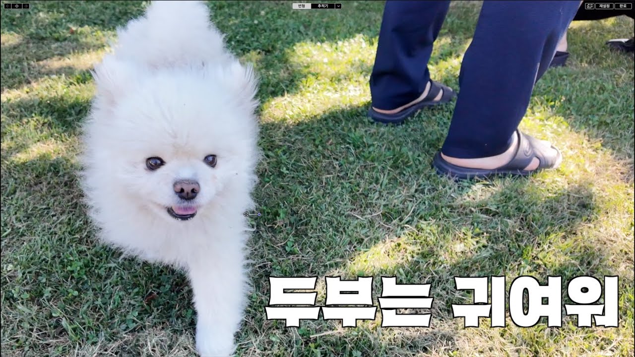 신학24안교방범대ㅣ왈덴스학교ㅣ시골학교 방문기ㅣ두부는 귀여워