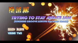 Quick Burn - Volume 2 - Trying to Stay Awake Jam Invite Sunshine Groove SZBT596
Hey folks, new segment here in LiveJamz Land, Quick Burn and this is the second installment. Intent is for this to be a playlist where I run through covers or jam tracks of other folks and will be shorter in length than the BOSS segments. This second entry is a very fine jam track from Sebastien Zunino and is named, Sunshine Groove, and is a solid backing track. I started in a little rough while trying to read the chords on the video and had some timing issues on this one and probably should play with a metronome more often but kind of thing that sucks, so I dont... but...whatever... This video is my entry for Rick Romanellis open invite to play through this track, hope I did it justice, was kind of learning it on the fly as it played.
Thanks to Sebastien Zunino for making his excellent tracks available to folks. you should check them out folks they are all well done if you are not familiar with him and his work. If anyone would like to check out Sebastien Zunino you can find his channel here.
https://www.youtube.com/channel/UC4wErHDpSOgoFGTWrWaDwEg
If you enjoy this, please share it or let me know in the comments. Peace folks. Quick Burn - Volume 2 - Trying to Stay Awake Jam Invite Sunshine Groove SZBT596