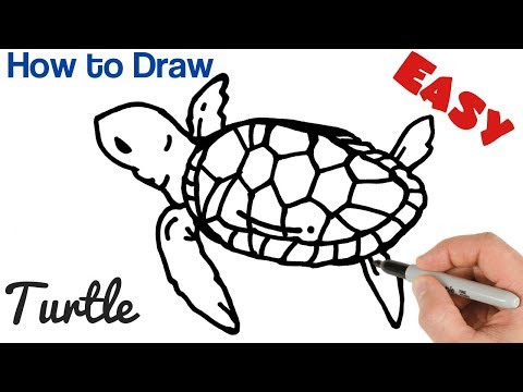 how-to-draw-a-turtle-baby-|-easy-animals-drawings-for-beginners-|-art-tutorial