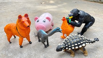 Cùng Changcady dắt chó đi nhặt đồ, được các con vật đồ chơi, khủng long, con bò - Part-19