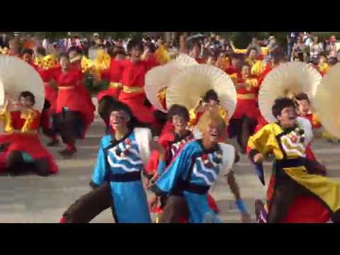 神戸学生よさこいチーム湊（こいや祭り2017）