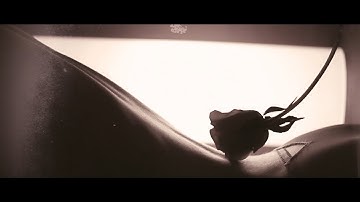 PENUMBRA  Sorrow Official Video 2024