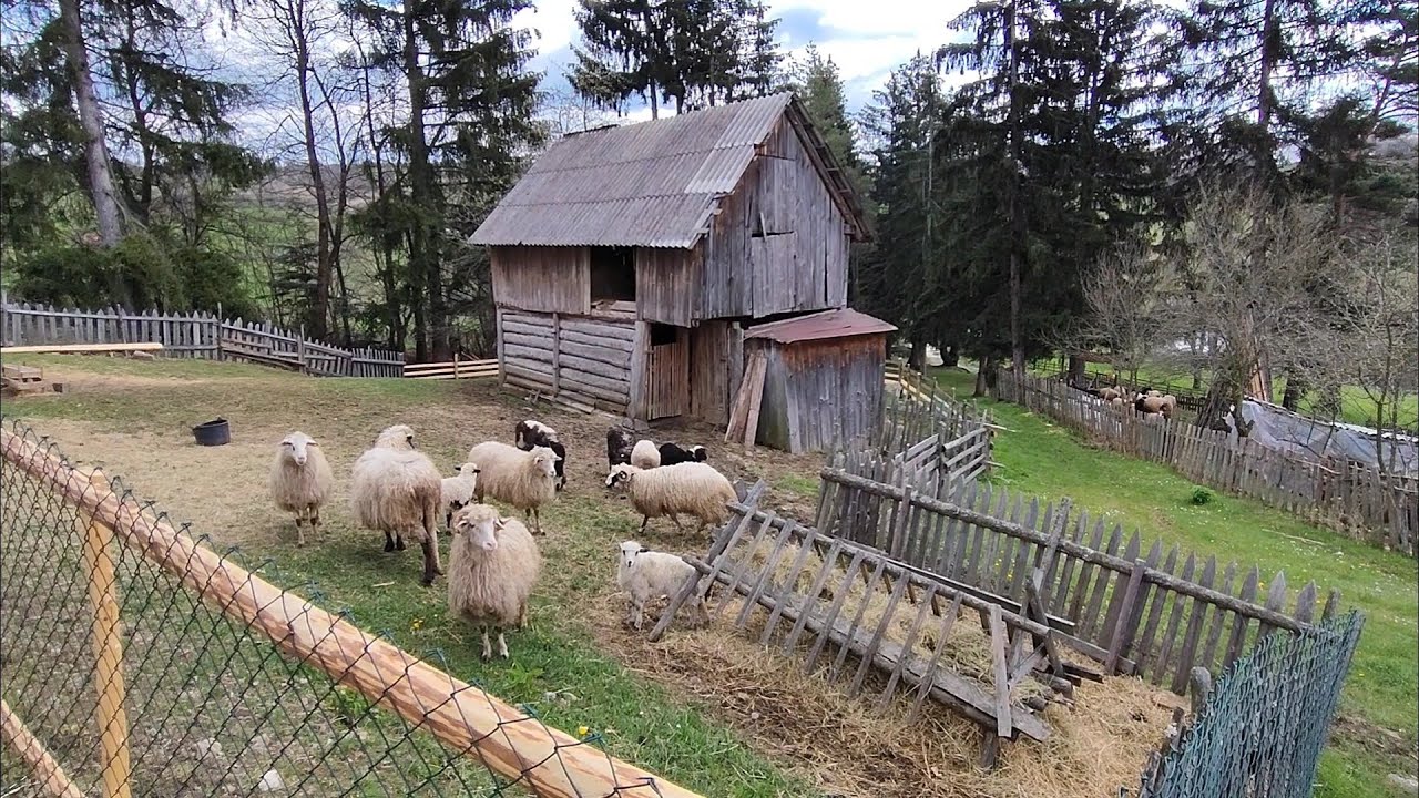 #ŽIVAISTINA#raj na zemlji.#selo na 1000 m nadmorske visine.#live