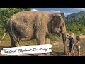 Thailand with Kids /// Thailand Elephant Sanctuary /// Elephant Sanctuary with Kids /// Thailand