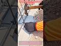Driving Nails for Perfect Rebar Alignment 🔨🔥 #shorts