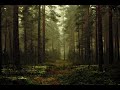 Secret Garden Fairytale Clip Secret Garden Fairytale Clip