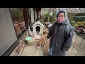 【音羽山観音寺便り】お寺の暮らし2024年12月後半