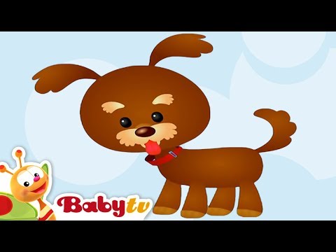 Dog 🐶​ Animal Sounds and Names for Kids & Toddlers @BabyTV