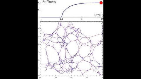 Non-linear elasticity of the disordered spring network.