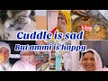 Chikki kyun nahi bani?😢 | big flop | cuddle is missing bhai & bhabhi | ammi is happy |saba ka jahan