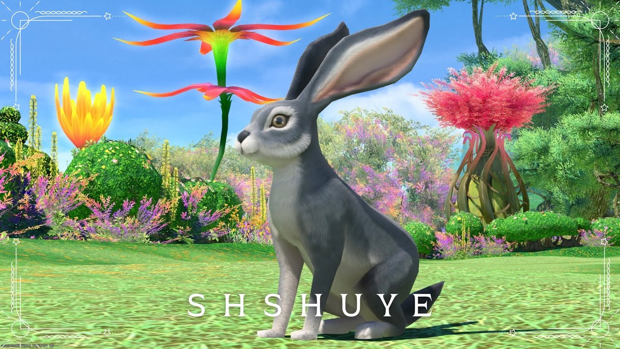 maxresdefault.jpg