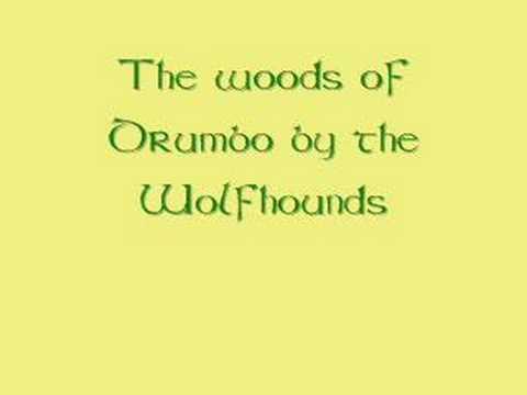 The woods of Drumbo by The Wolfhounds