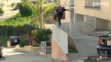 SILVA - a reedition of Nike SB