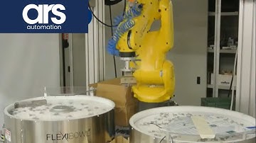 Automotive Brake Pads Assembly Flat Springs Sorting System- Flexibowl® & FANUC Feeding Solution