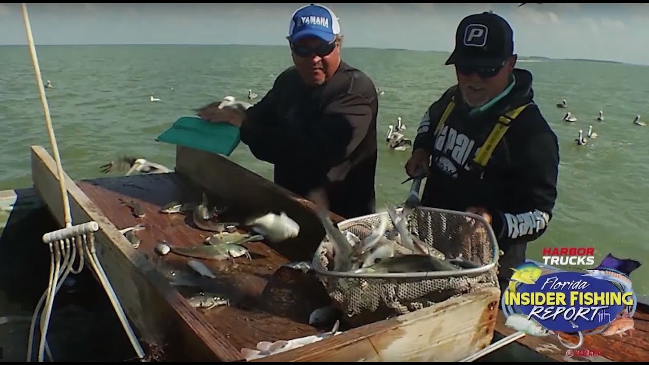 How to Catch THOUSANDS of BAITS 2019 Florida Insider Fishing Report Season 15, Episode 17