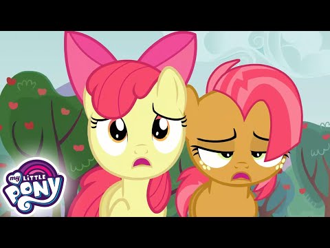 My Little Pony: Дружба — это чудо 🦄 Спайк к вашим услугам | MLP FIM по-русски