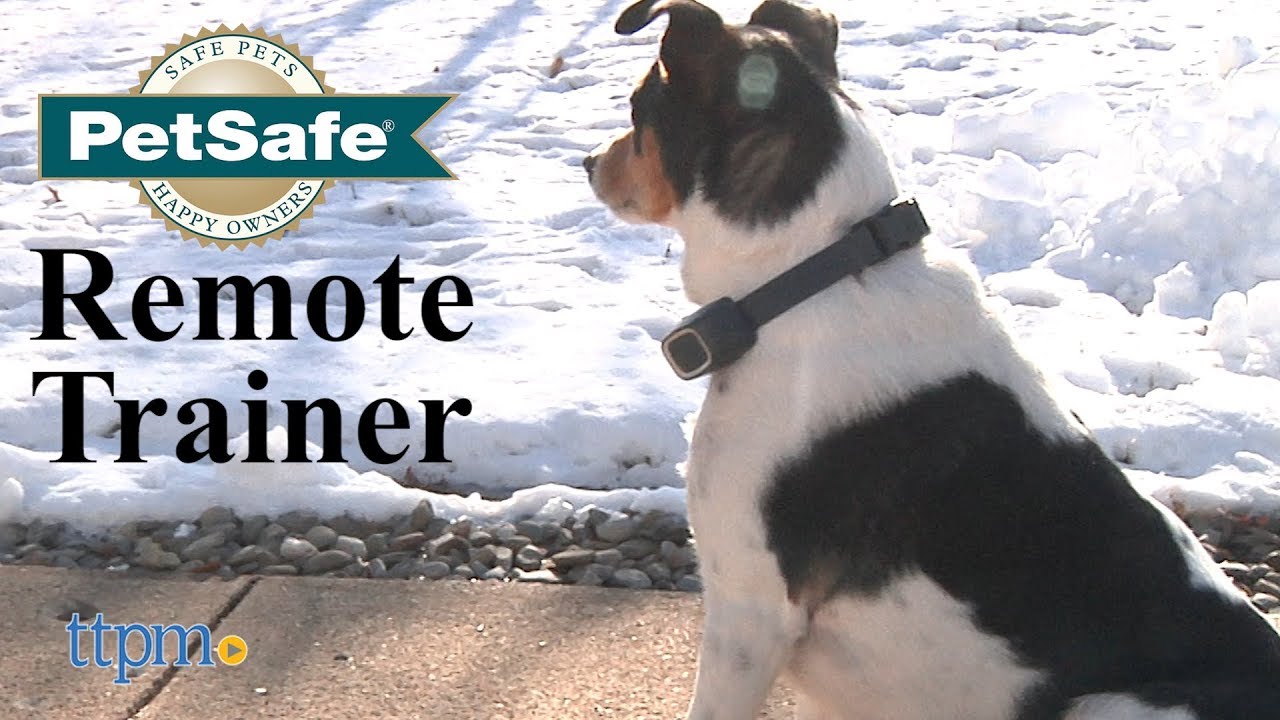 Remote Trainer from PetSafe - YouTube