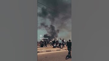 #آيات #ارح_سمعك #اكتب_شي #راحة_نفسية #غزة #فلسطين #قرآن #مشاري_العفاسي #قرأن