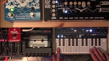Arturia MicroFreak + Tapeloop