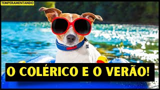 O Colérico e o Verão! ☀️ - Linguagem simbólica!