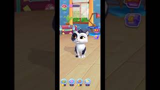 Catapolis:Grand pet Game I kitty Simulator Catapolis Grand pet Game I kitty Simulator screenshot 4
