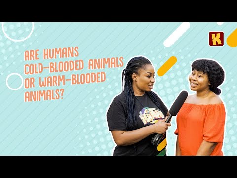 are-human-beings-cold-blooded-or-warm-blooded-animals?-(and-other-questions)-|-krakstv-vox-pop