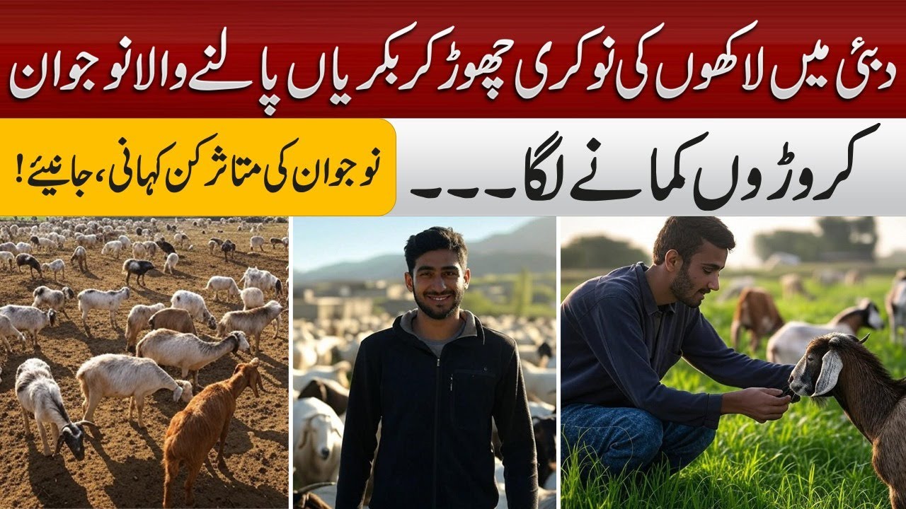 From Million $ Job in Dubai to Millionaire Goat Farmer | Inspiring Journey of Young Entrepreneur