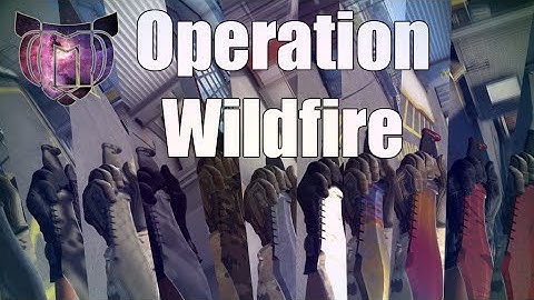 CS:GO - Operation Wildfire Case All Skins