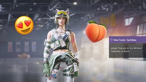 Urban Tracker - Each Meow Strongbox 😍🍑🫢