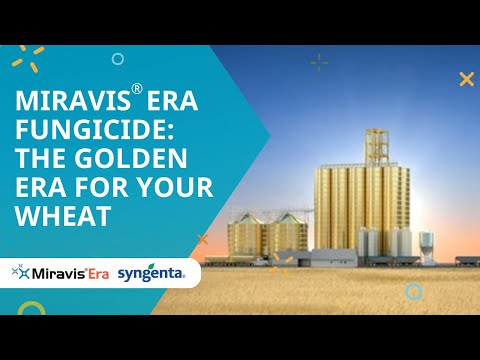 Miravis® Era Fungicide: The Golden Era For Your Wheat